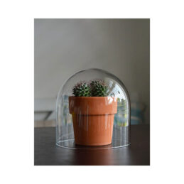 small-handmade-mouth-blown-clear-circular-glass-display-cloche-bell-jar-dome-20-cm
