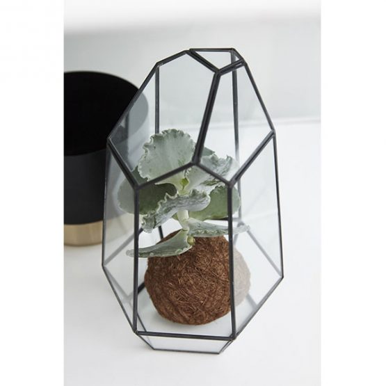 679-Terrarium-Brass-and-Glass-Plants-Scandinavian-Design-Danish-Nordic-by-Hubsch-1