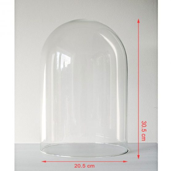 856-Medium-Handmade-Mouth-Blown-Clear-Circular-Glass-Display-Cloche-Bell-Jar-Dome-30.5-cm1