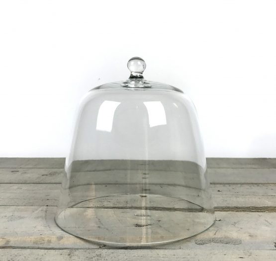 handmade-mouth-blown-clear-circular-glass-display-cloche-bell-jar-dome