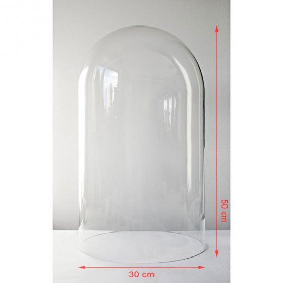 857-Large-Handmade-Mouth-Blown-Clear-Circular-Glass-Display-Cloche-Bell-Jar-Dome-50-cm
