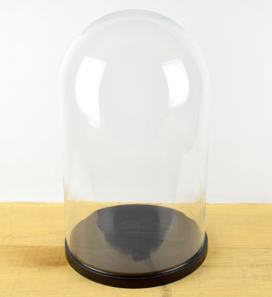 large-handmade-mouth-blown-glass-dome-with-wooden-base-50-cm
