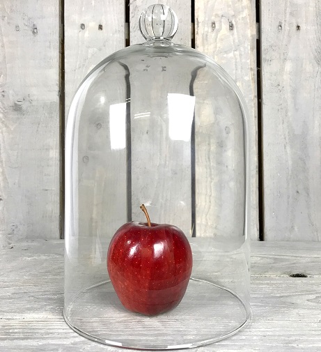 large-mouth-blown-glass-display-cover-cloche-bell-jar-dome-centrepiece-30-cm
