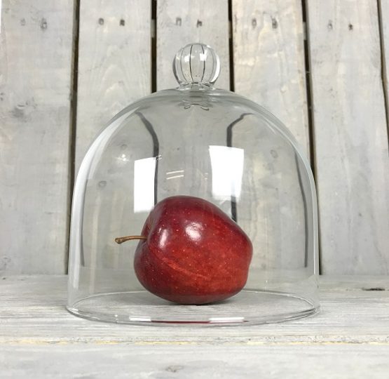 mouth-blown-glass-cake-display-cover-cloche-bell-jar-dome-centrepiece-20-cm