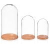 quality-large-glass-display-cover-dome-cloche-with-natural-beech-base-height-46-cm
