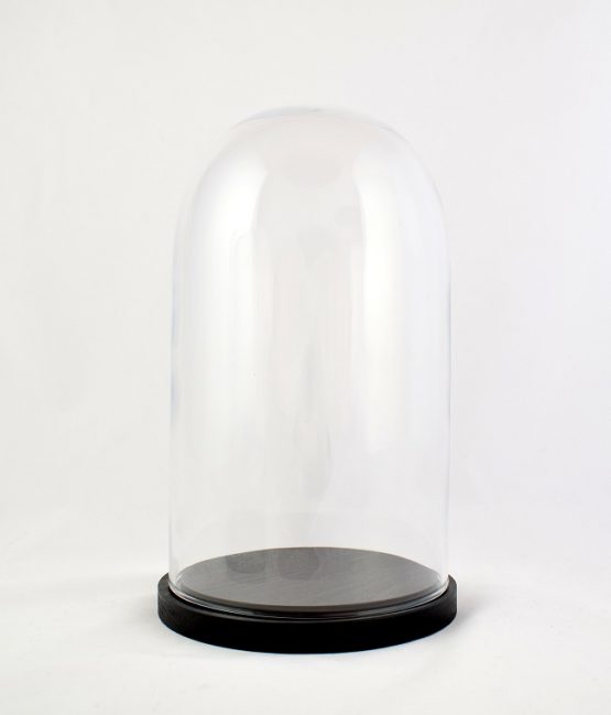 Small Glass Dome Display Cover Cloche Black Base Height 27.5cm