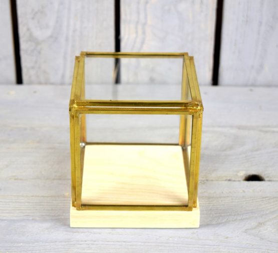 small-glass-and-brass-display-showcase-box-with-wooden-base