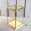 glass-and-brass-display-showcase-box-with-wooden-base-tall-23-5-cm