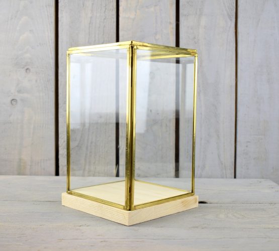 glass-and-brass-display-showcase-box-with-wooden-base-tall-23-5-cm
