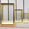 glass-and-brass-display-showcase-box-with-wooden-base-tall-23-5-cm