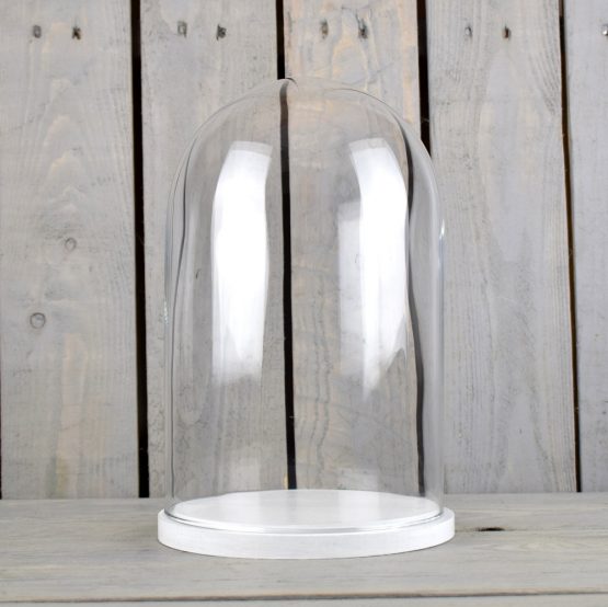 medium-glass-dome-display-cover-cloche-white-base-height-31cm