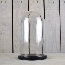 small-glass-dome-display-cover-cloche-black-base-height-27-5cm