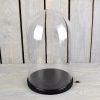 EMH Medium Glass Dome Display Cover Cloche Black Base Height 35 x 20 cm
