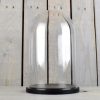 medium-glass-dome-display-cover-cloche-black-base-height-31cm