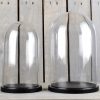 small-glass-dome-display-cover-cloche-black-base-height-27-5cm