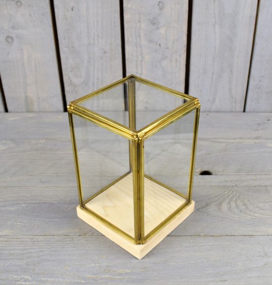 glass-and-brass-display-showcase-box-with-wooden-base-tall-17-5-cm