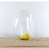 handmade-mouth-blown-clear-oval-glass-display-cloche-bell-jar-dome-20-cm