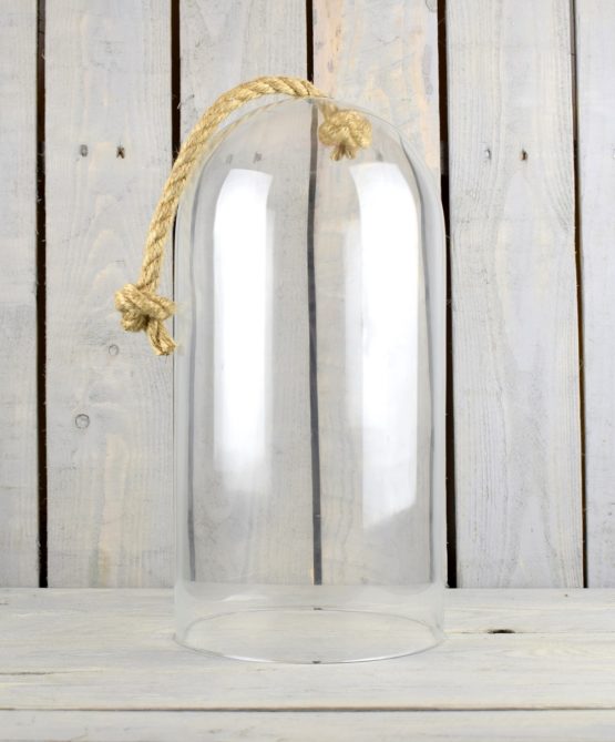 large-glass-dome-display-cloche-terrarium-moss-40-cm-with-hole-and-jute-rope