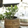 mustard-pot-with-pattern-by-ib-laursen