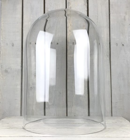 large-glass-dome-cover-cloche-display-height-50-cm