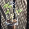 grey-pot-hanging-holder-for-flower-by-ib-laursen