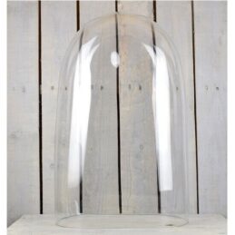 mouth-blown-clear-oval-glass-display-cloche-bell-dome-55-cm-tall