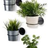 Black Round Wall Mounted / Wall Hang Ring Holder for Flower Pot Plant 12 cm