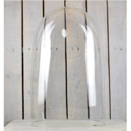 mouth-blown-clear-oval-glass-display-cloche-bell-dome-45-cm-tall