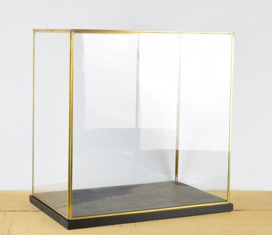 hand-made-large-glass-and-brass-display-showcase-box-dome-with-black-wooden-base-40-5-cm