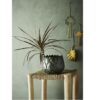 eucalyptus-wood-and-palm-leaves-bar-stool-by-madam-stoltz