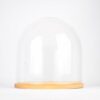 handmade-mouth-blown-clear-circular-glass-display-cloche-dome-with-wooden-base-31-5-cm
