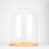 Large Glass Dome Cover Cloche Display with Wooden Base Height 52 cm