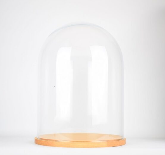 Large Glass Dome Cover Cloche Display with Wooden Base Height 52 cm