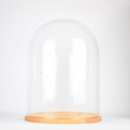 handmade-clear-circular-large-glass-display-cloche-bell-jar-dome-with-wooden-base-41-5-cm