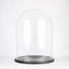 Handmade Large Glass Display Cloche Dome with Black Wooden Base 30 x 25 cm
