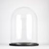 Handmade Clear Circular Large Glass Display Cloche Dome with Black Wooden Base 41.5 cm