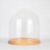 Small Handmade Mouth Blown Clear Circular Glass Display Cloche Dome With Wooden Base 20x20 cm