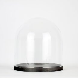 small-handmade-mouth-blown-clear-circular-glass-display-cloche-dome-with-black-wooden-base-21-5-cm
