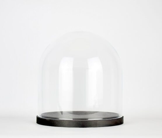 small-handmade-mouth-blown-clear-circular-glass-display-cloche-dome-with-black-wooden-base-21-5-cm