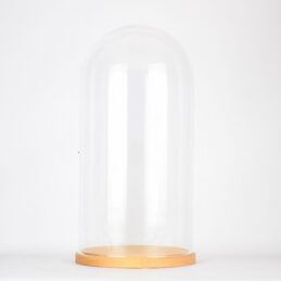 large-glass-dome-cover-cloche-display-with-wooden-base-height-41-5-cm