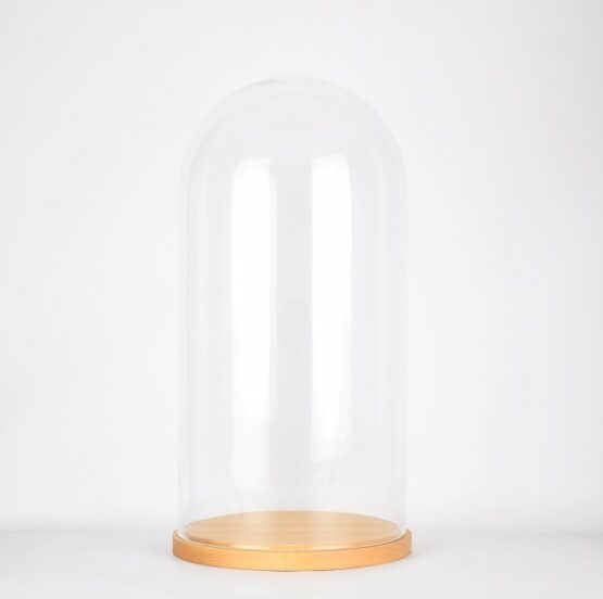 Large Glass Dome Cover Cloche Display With Wooden Base Height 41.5 cm