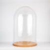 Large Glass Dome Cover Cloche Display with Wooden Base Height 55 cm