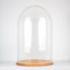 large-glass-dome-cover-cloche-display-with-wooden-base-height-55-5-cm