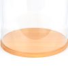Large Glass Dome Cover Cloche Display with Wooden Base Height 55 cm