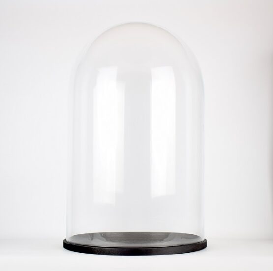 large-glass-dome-cover-cloche-display-with-black-wooden-base-height-55-5-cm