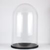 large-glass-dome-cover-cloche-display-with-black-wooden-base-height-55-cm