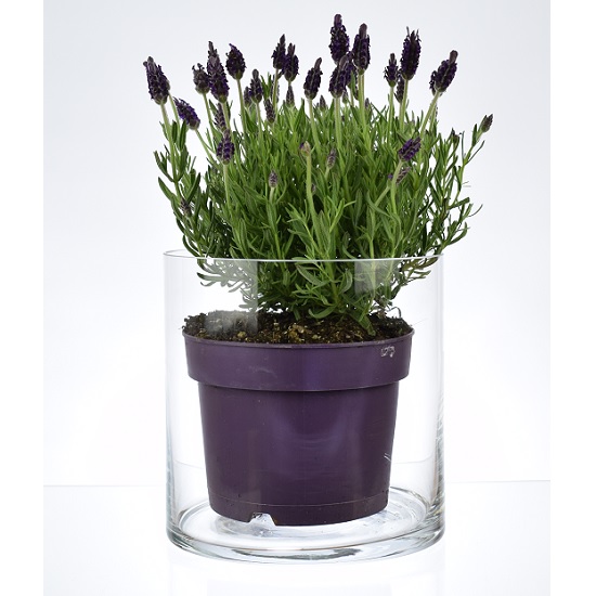 small-handmade-elegant-cylindrical-vase-candle-holder-20-cm