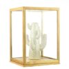 Glass and Wooden Frame Display Showcase Cover With Base by EMH 31 cm