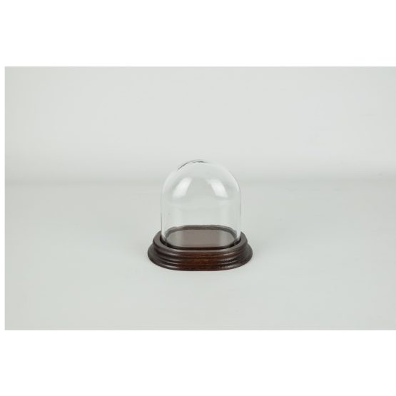 small-oval-glass-display-dome-cloche-with-wooden-base-height-11-2-cm