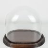 medium-oval-glass-display-dome-with-wooden-base-height-21-cm